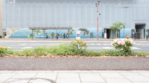 ドコモ広島大手町ビル仮囲いに制作された渡辺真悠「広島の植物でつくる『どこにもない島』壁画」遠景